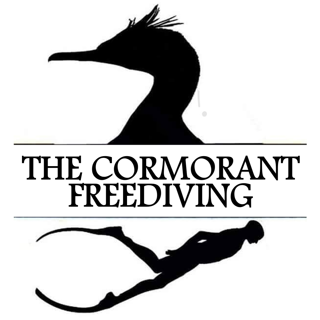 The Cormorant Freediving